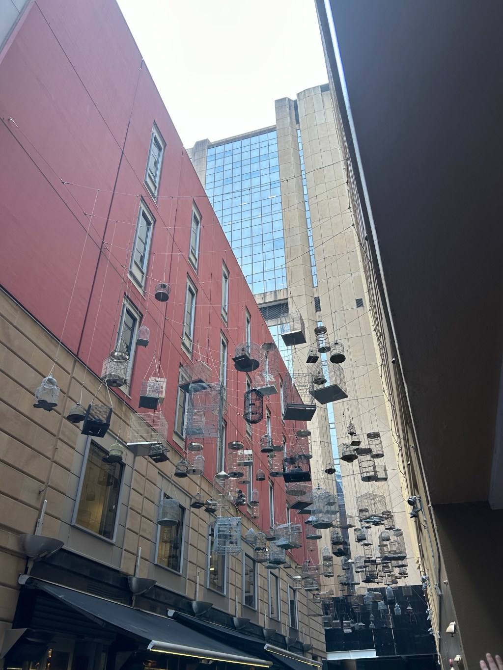 Day 14: Sydney,&nbsp;Australia