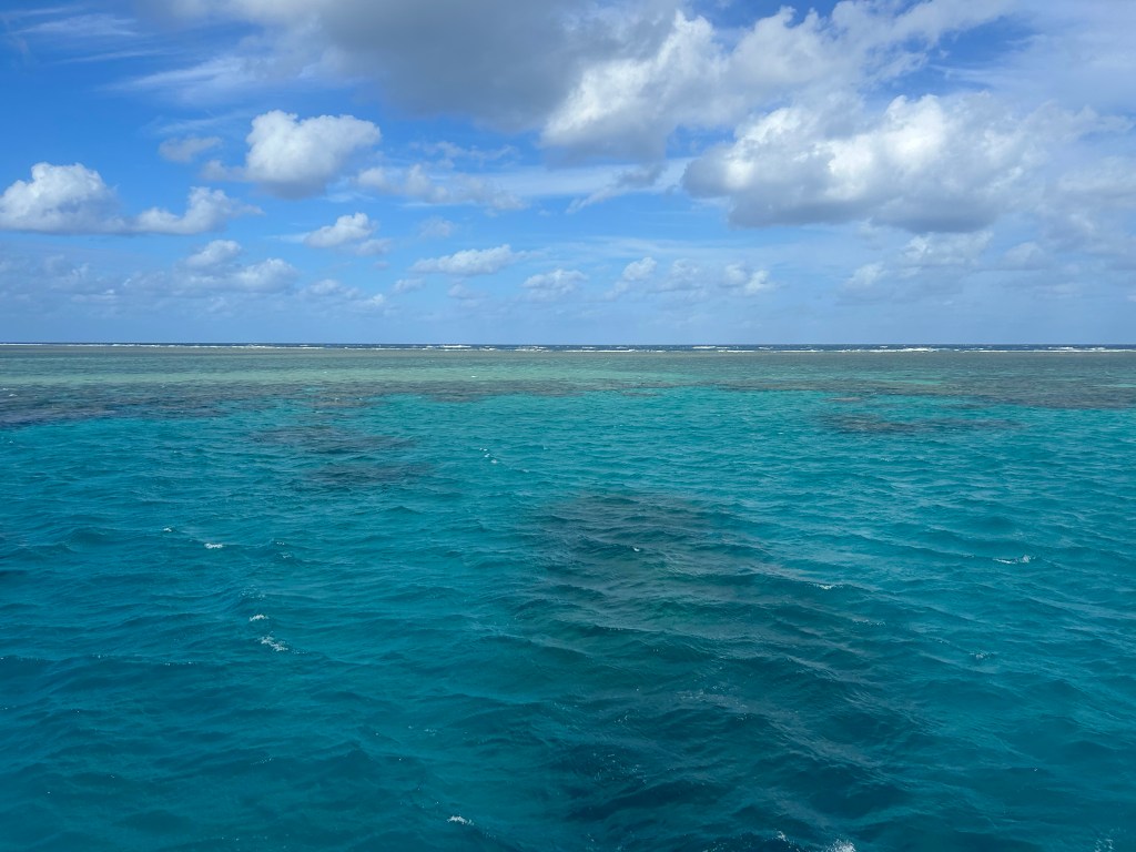 Day 85: The Great Barrier&nbsp;Reef