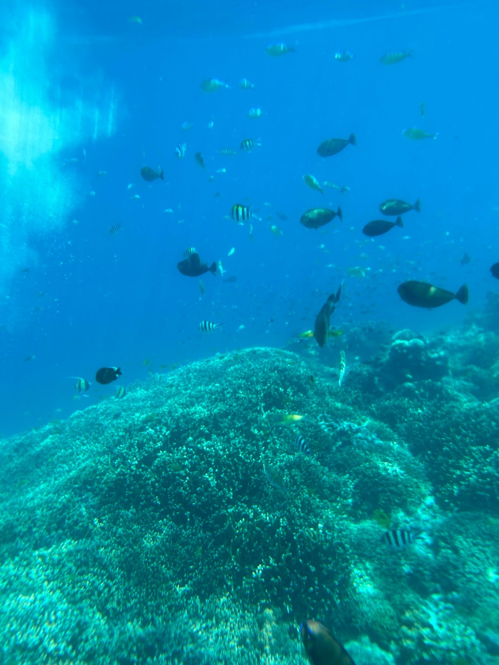 Day 96: Gili Meno,&nbsp;Indonesia