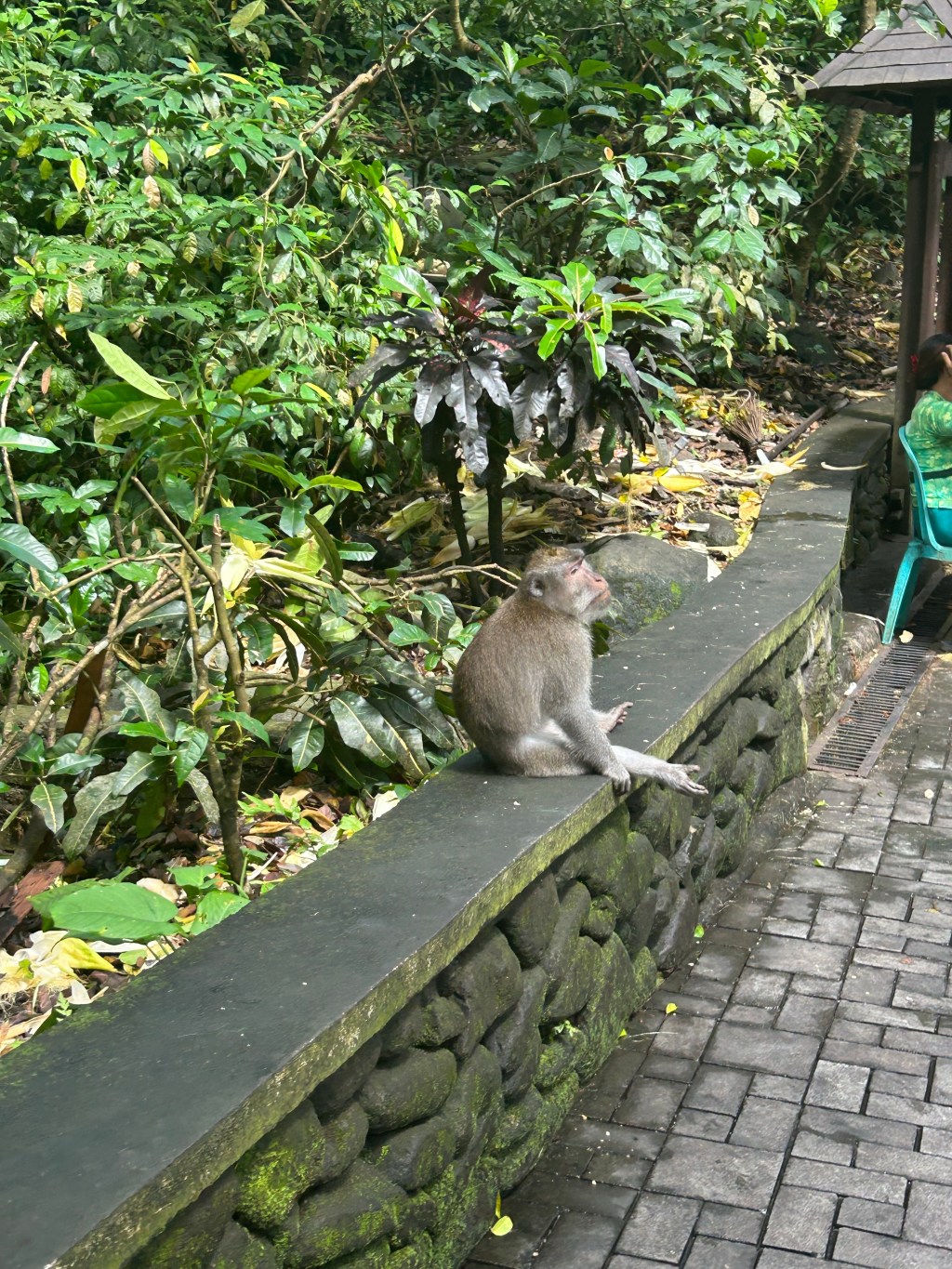 Day 106: Ubud,&nbsp;Indonesia